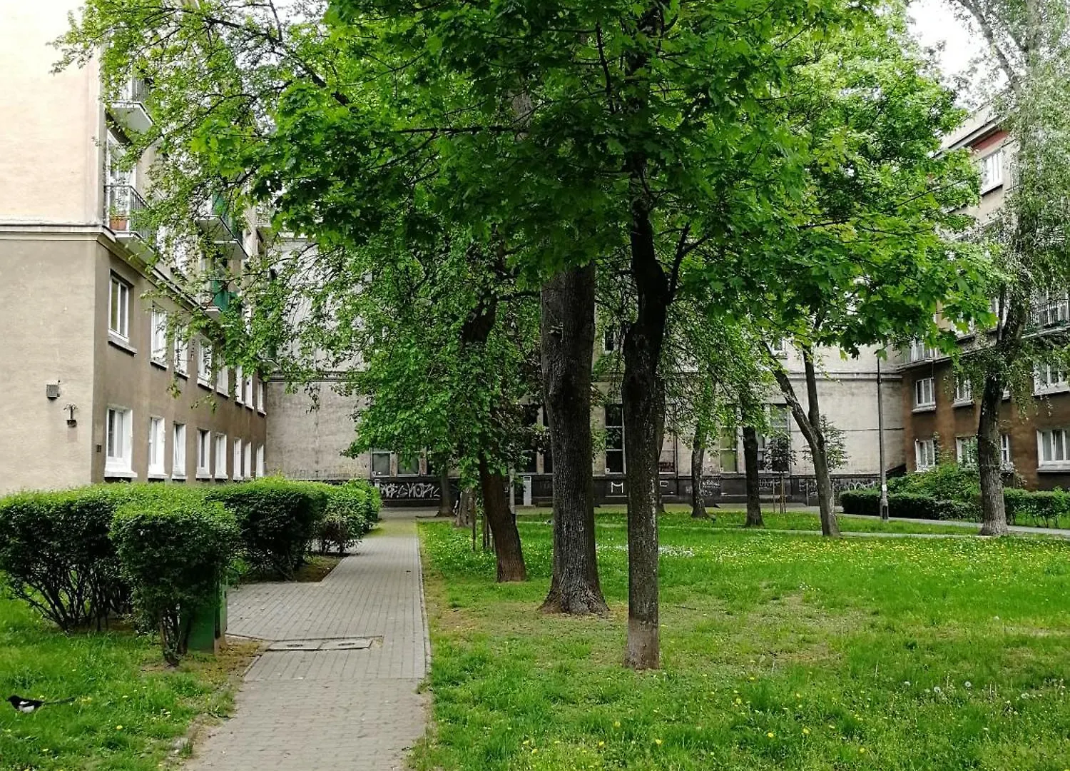 Stylish Cozy Flat In Warsaw Center Appartement 0*,